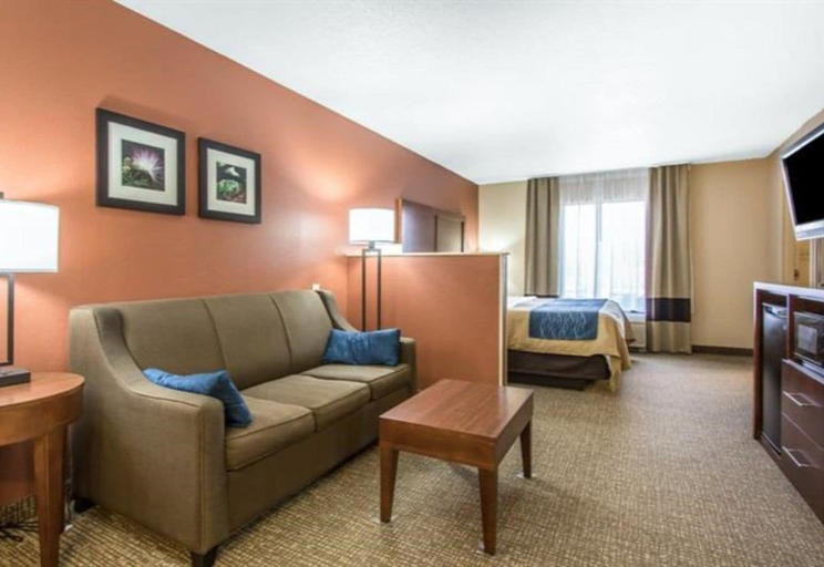 Others 4, Comfort Inn Livingston, Sumter
