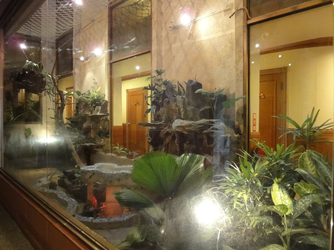 Others 5, Taoyuan Hua Yue Hotel, Taoyuan