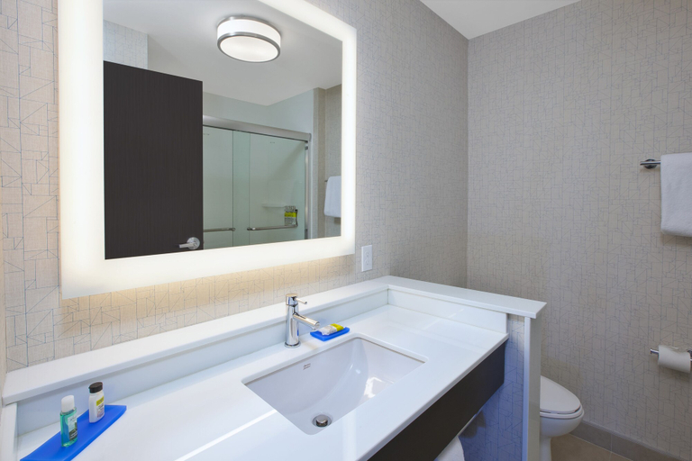 Bathroom 3, Holiday Inn Express & Suites Auburn Hills South, Oakland