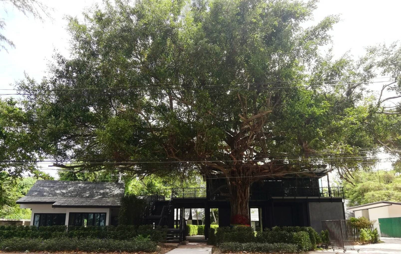 Exterior & Views 2, Banyan Resort At Rayong, Muang Rayong
