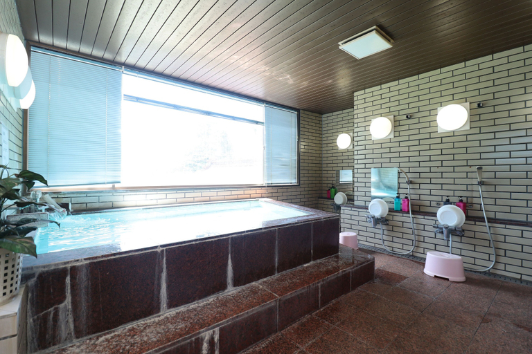 Bathroom 5, New Fukujuso, Yamanakako
