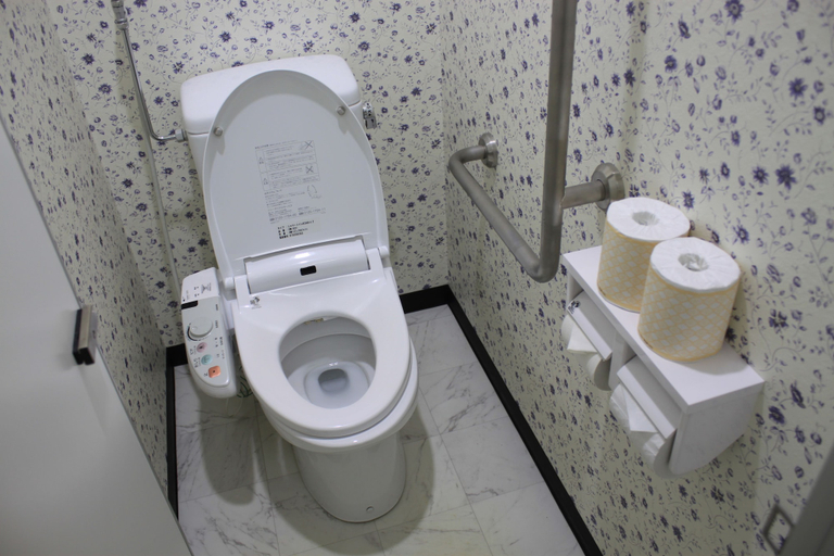 Bathroom 2, Tanakaya Hinageshikan, Rishirifuji