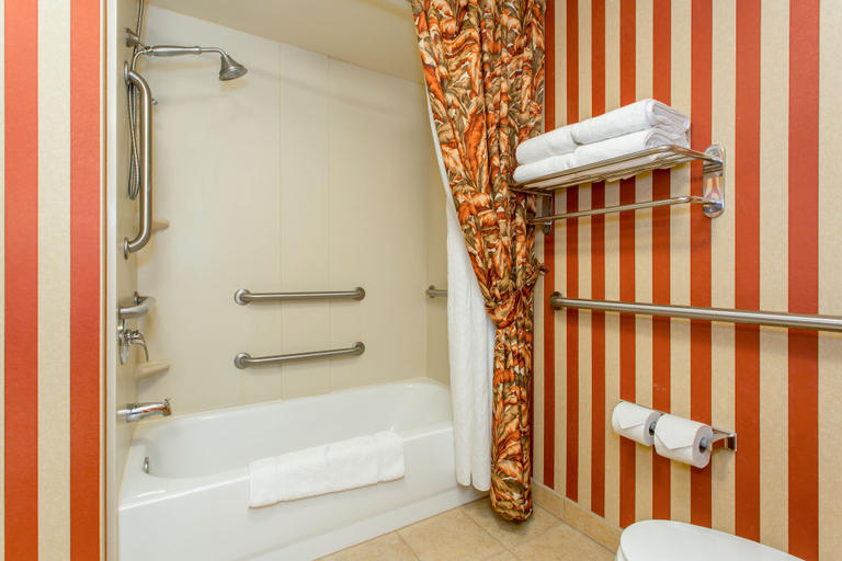 Bathroom 4, Holiday Inn Express & Suites BLOOMINGTON by IHG, Monroe