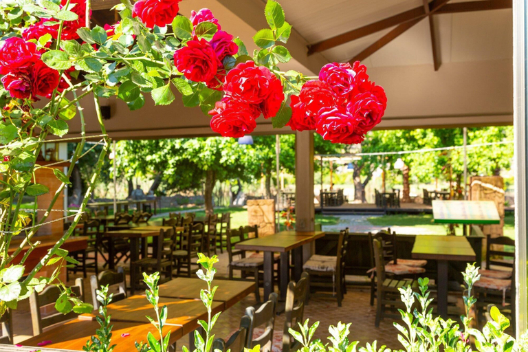 Food & Drinks 5, Villa Aysel Paradise, Ortaca