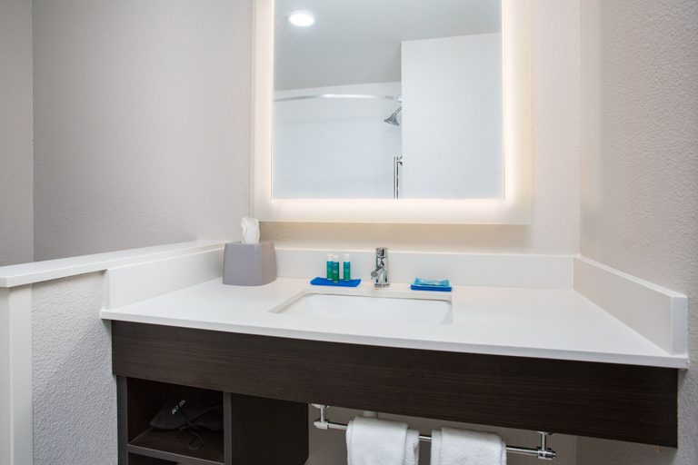 Bathroom 3, Holiday Inn Express & Suites Rapid City - Rushmore South, Pennington