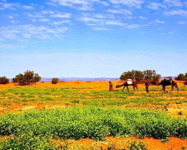 Others 5, Locals Under Stars Trips, Ouarzazate