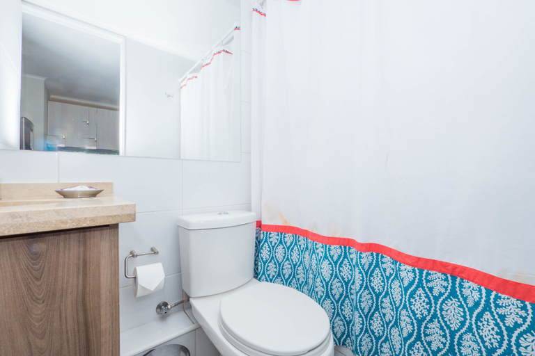 Bathroom, Delightful Downtown Apartment, Santiago