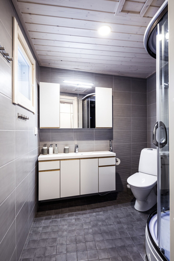 Bathroom, Pyhä Igloos, Lapland