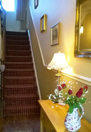 Others 5, Albany House, Cumbria