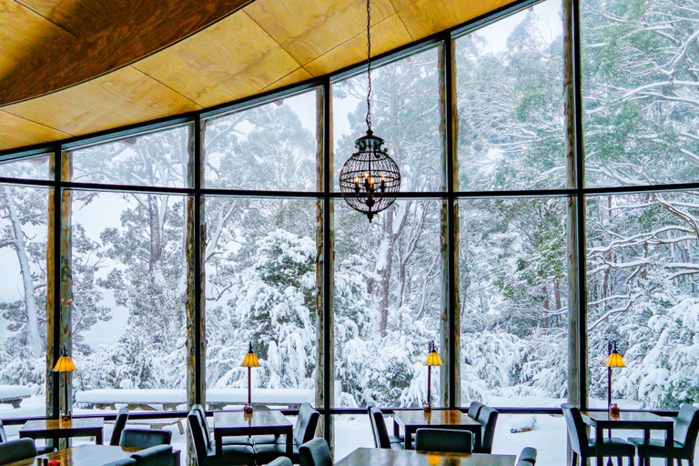 Food & Drinks 5, Lake St Clair Lodge, Central Highlands