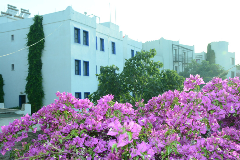 Exterior & Views 2, Bodrum Park Hotel, Bodrum