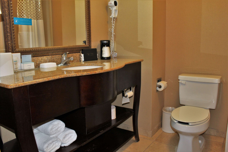 Bathroom 3, Hampton Inn Americus, Sumter