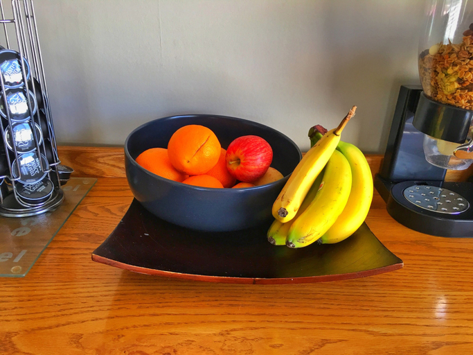 Food & Drinks 4, Milo's Homestay, Thames-Coromandel