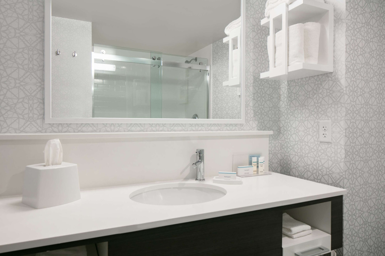 Bathroom 2, Hampton Inn Dubuque, Dubuque