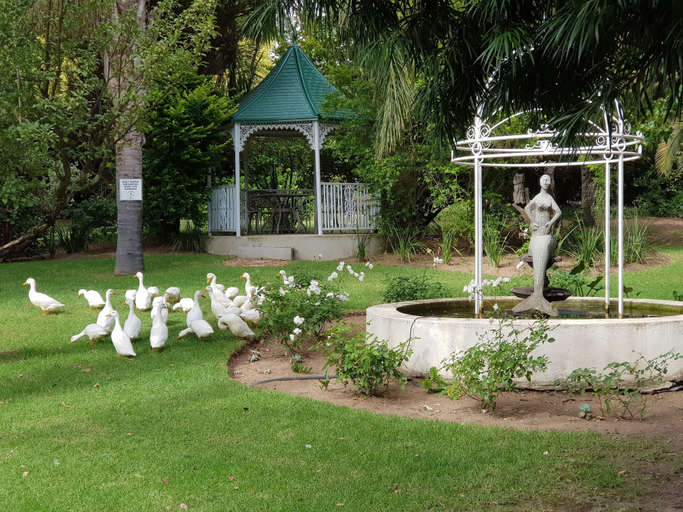 Others 5, Zonnevanger, Cape Winelands