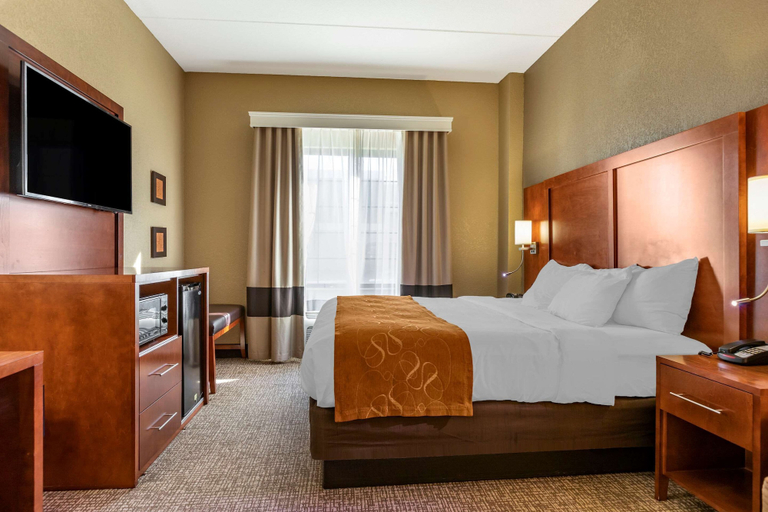 Bedroom 3, Comfort Suites Grand Rapids South, Kent