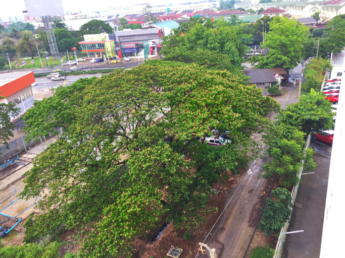 Others 5, T.U.B. Mansion, Pak Kret