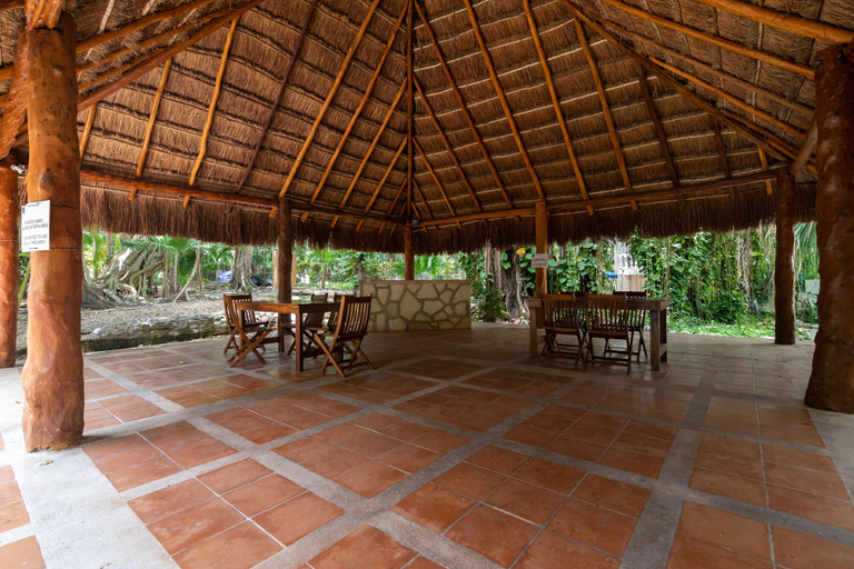 Food & Drinks, Casa Susana by Playa Paradise, Cozumel