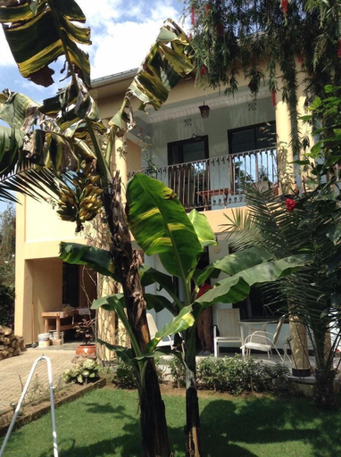 Exterior & Views 2, Papagei Home, Meru