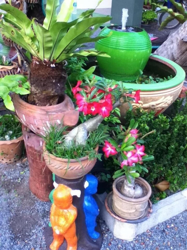 Others 5, Bai Pai Resort, Khlung