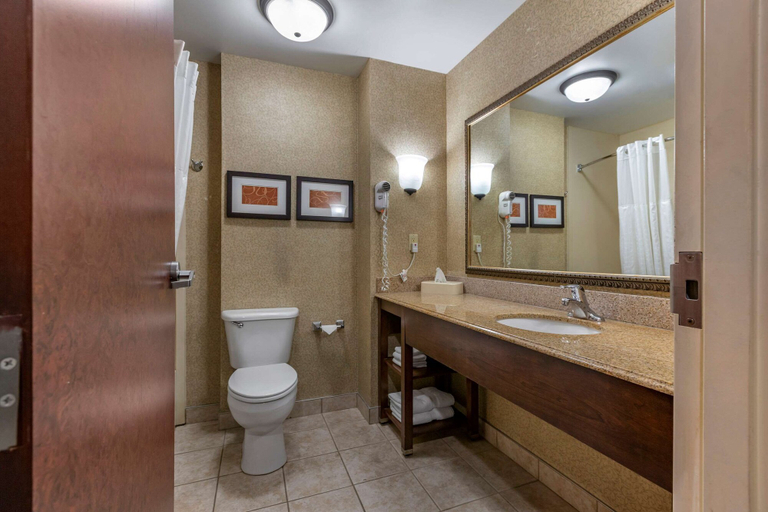 Bathroom 4, Comfort Suites Grand Rapids South, Kent