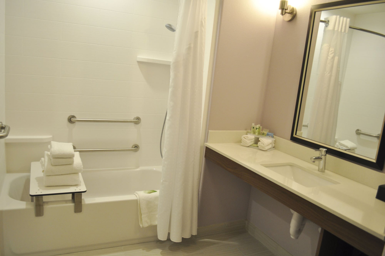 Bathroom 3, Holiday Inn Express & Suites PRICE, Carbon
