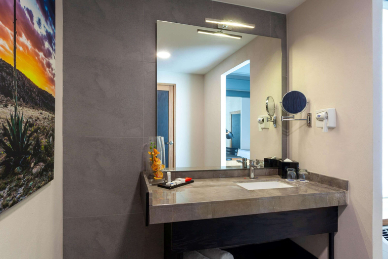 Bathroom 4, TRYP by Wyndham San Luis Potosi Hotel & Suites, San Luis Potosí