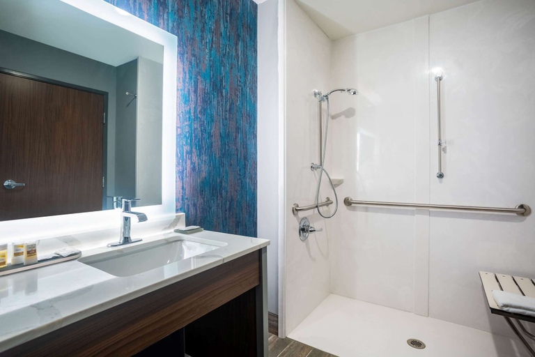 Bathroom 4, La Quinta Inn & Suites by Wyndham Oxford, Lafayette