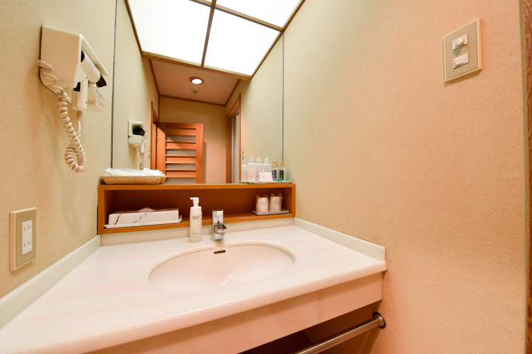 Bathroom 4, Kokuya, Shibukawa