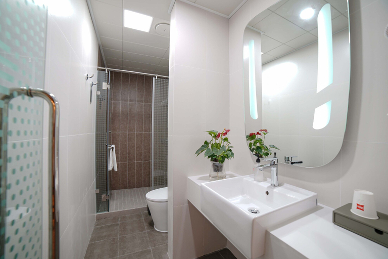 Bathroom 3, Ibis Chengdu Hi-Tech Zone Longhu Hotel, Chengdu