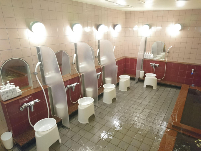 Bathroom, ATSUGI CAPSULEHOTEL – Caters to Men, Atsugi