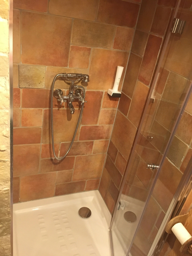Bathroom 4, Old Bled House, Bled