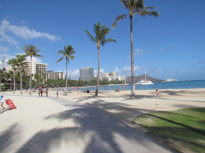 Others 5, Waikiki Banyan - Walk to the Beach, Honolulu