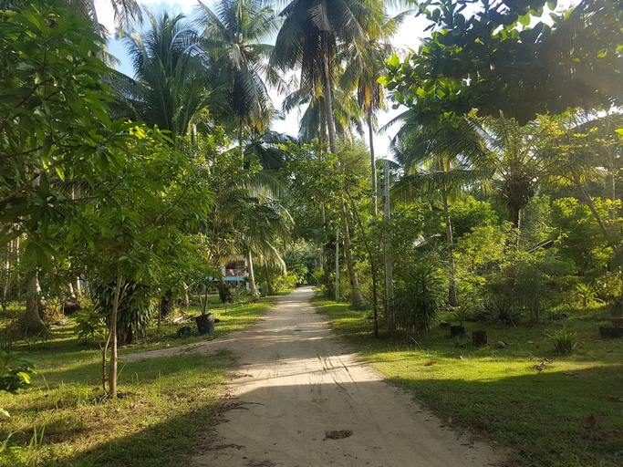 Others 4, Baan Moonchan, Ko Phangan