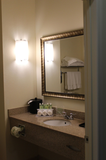 Bathroom 5, Holiday Inn Express DEFUNIAK SPRINGS by IHG, Walton