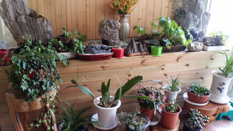 Others 4, Seorak Dongchun Youthtel - Hostel, Sokcho