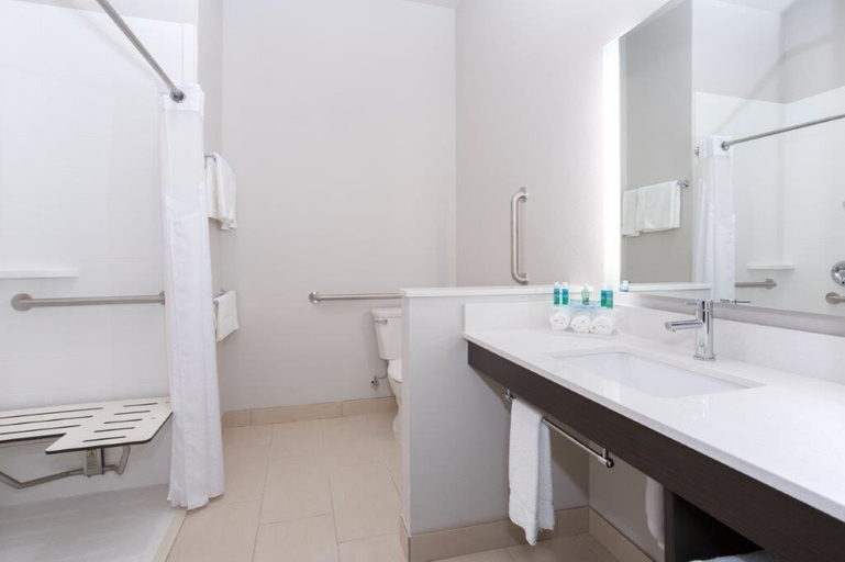 Bathroom 3, Holiday Inn Express & Suites Rapid City - Rushmore South, Pennington