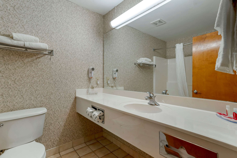 Bathroom 4, Econo Lodge Inn & Suites Flowood - Jackson Northeast, Rankin