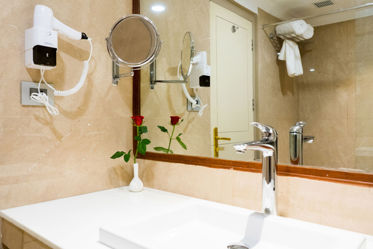 Bathroom 3, Gemini Continental Lucknow, Lucknow