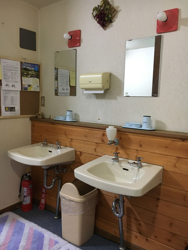 Bathroom 4, Pension Roku, Hakuba