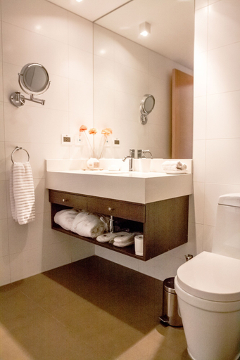 Bathroom 4, Noi Puma Lodge, Cachapoal