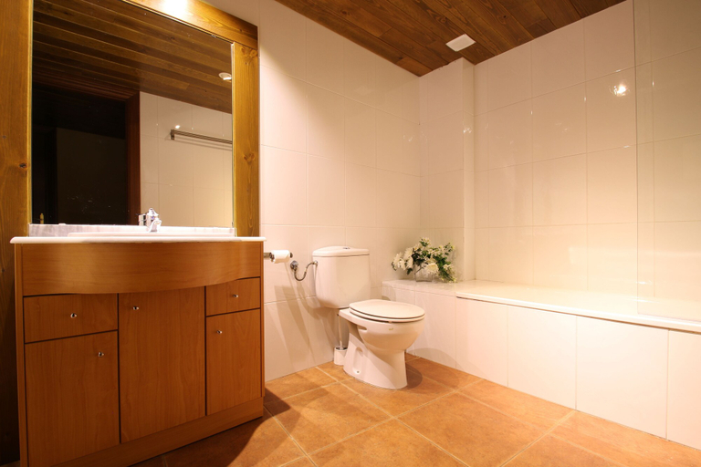 Bathroom 3, Apartaments Piteus Casa Dionís, Lleida