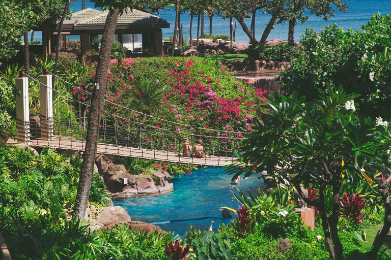 Sport & Beauty 3, Hyatt Regency Maui Resort & Spa, Maui