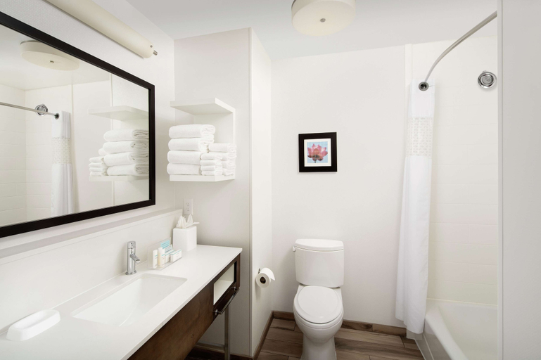 Bathroom 3, Hampton Inn Denver Tech Center South CO, Arapahoe