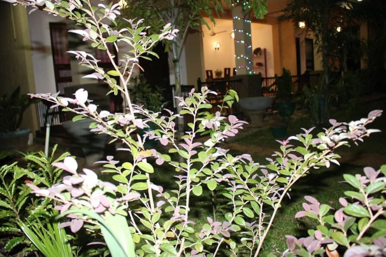 Exterior & Views 2, Dambulla Holiday Home, Dambulla