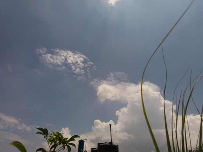 Others 5, King's Land Hotel, Bagmati