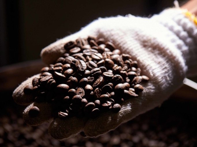 Food & Drinks 4, Matayoshi Coffee Farm, Higashi