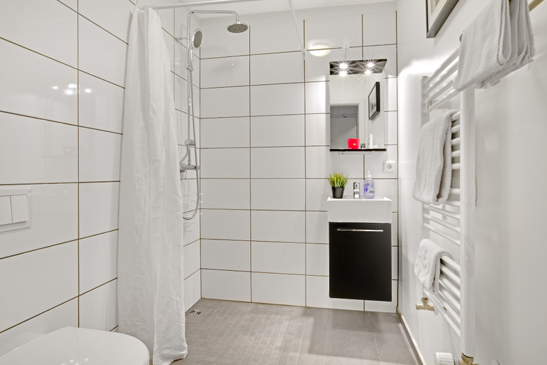 Bathroom 4, Alfred's Studios, Reykjavík