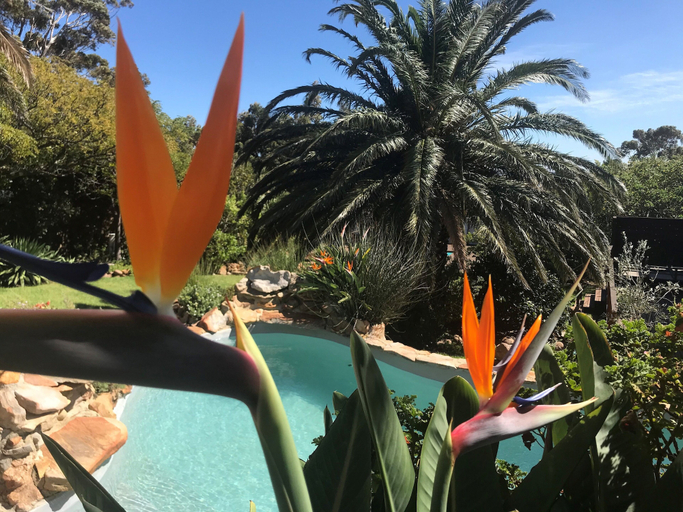 Sport & Beauty 2, Bloemenzee Boutique B & B, City of Cape Town