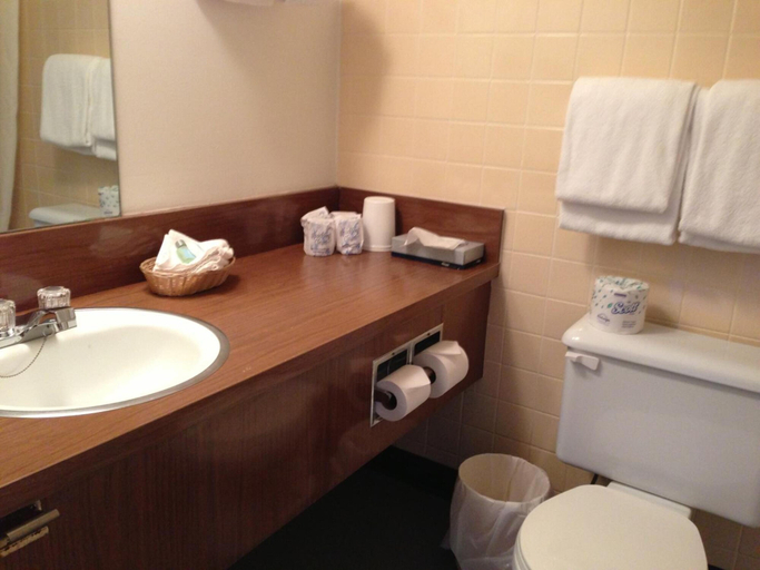 Bathroom 3, Slumber Lodge Motel, Fraser Valley